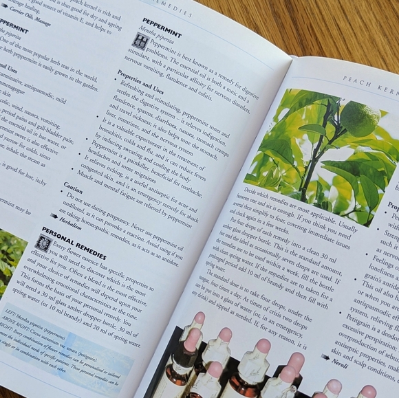 Natural Remedies: An Essential A-Z Guide By Karen Sullivan - Picture 5 of 6